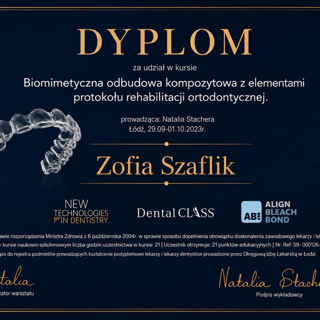Powiększ obraz: certificate 1