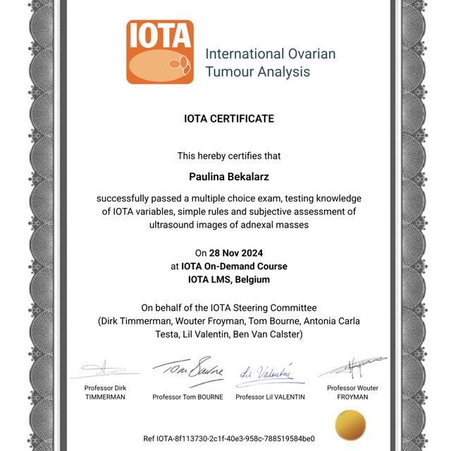 Powiększ obraz: certificate 1