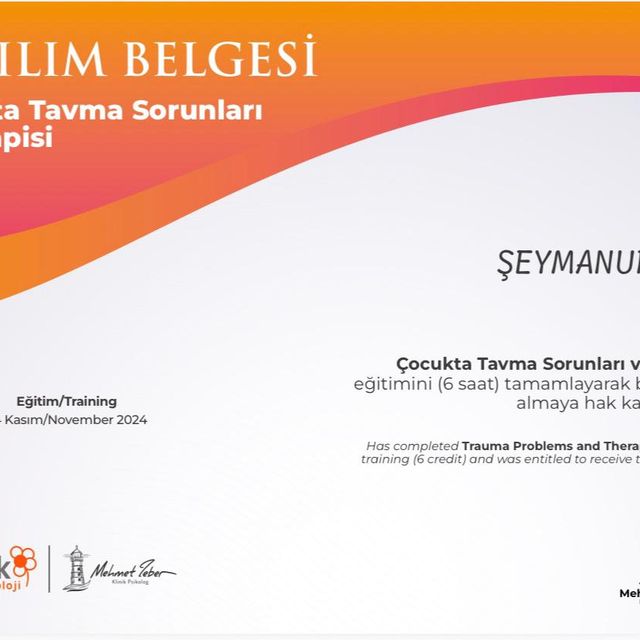 Resmi büyüt: certificate 17