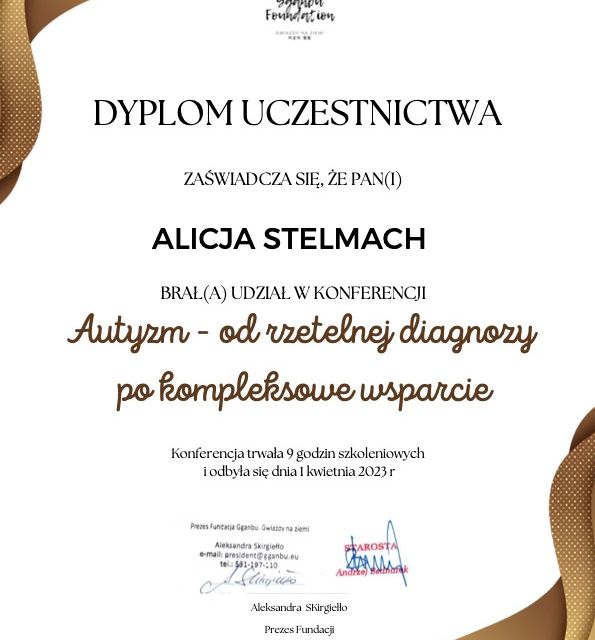 Powiększ obraz: certificate 6