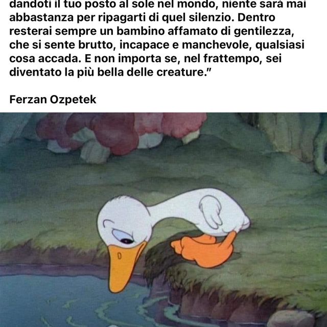 Ingrandire l'immagine: certificate 27