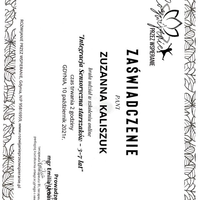 Powiększ obraz: certificate 12