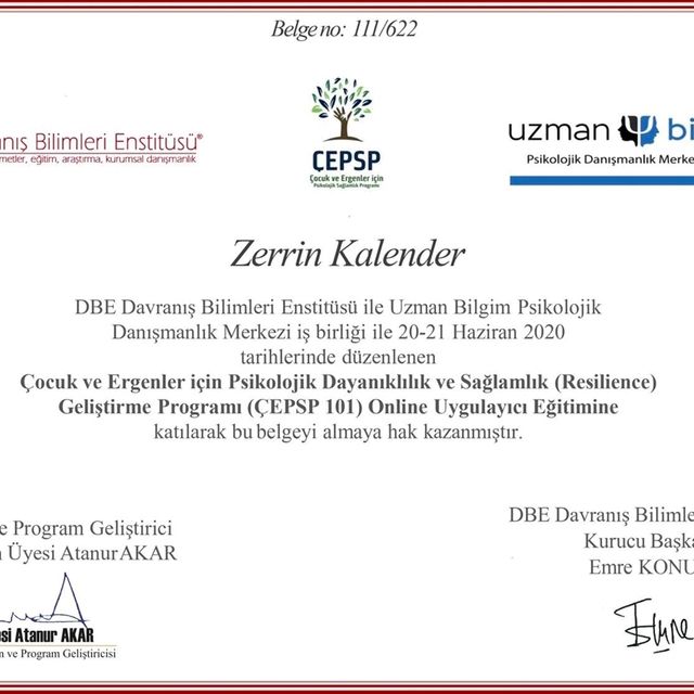 Resmi büyüt: certificate 2