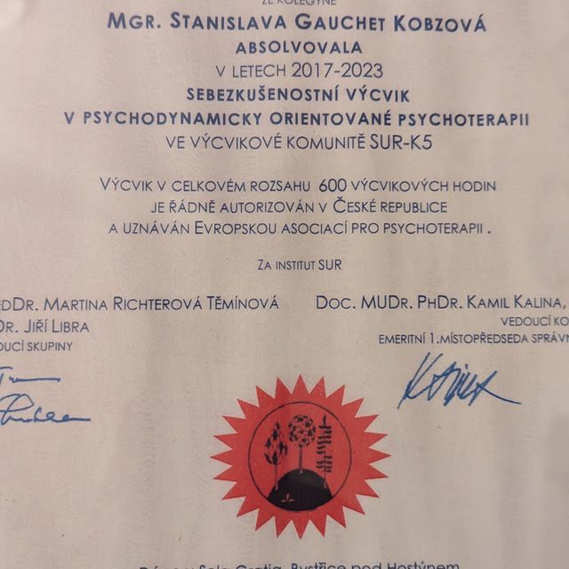 Zvětšit obrázek: certificate 1