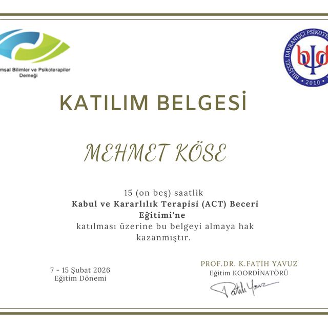 Resmi büyüt: certificate 4