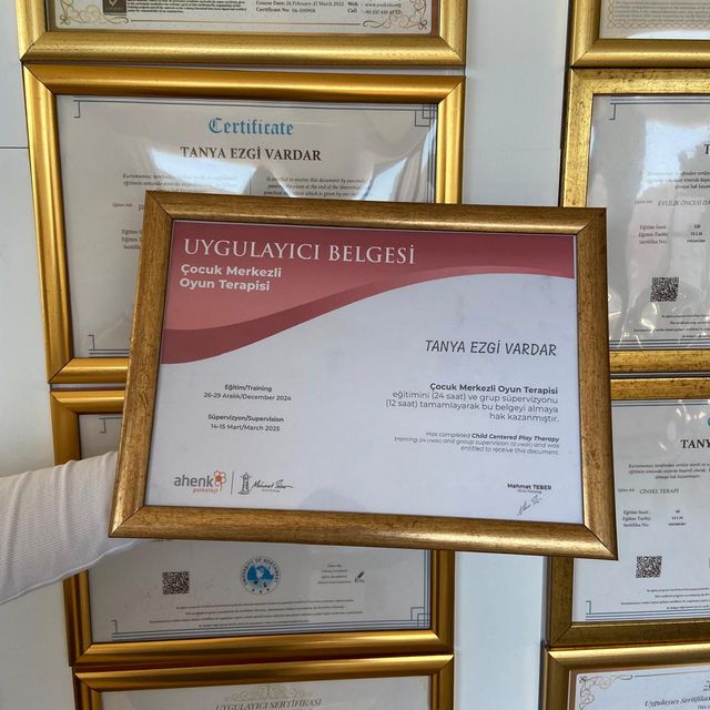 Resmi büyüt: certificate 19