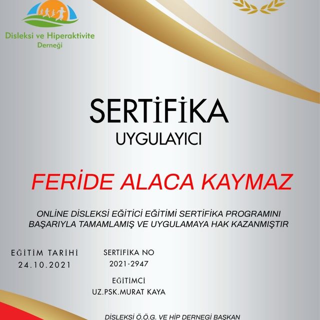 Resmi büyüt: certificate 1