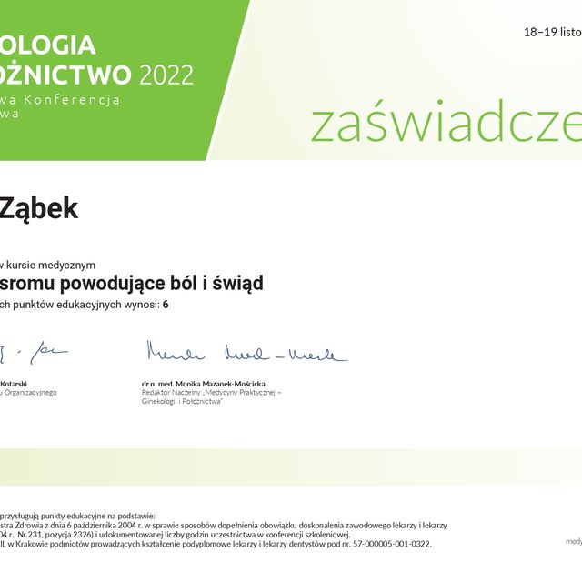Powiększ obraz: certificate 4