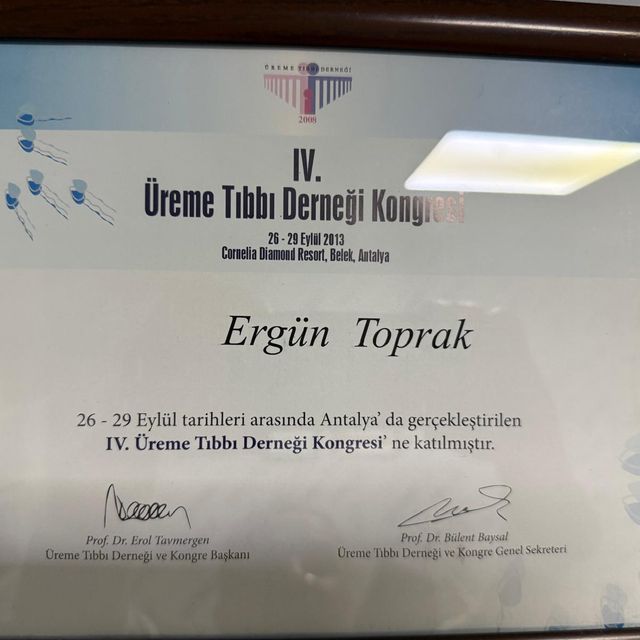 Resmi büyüt: certificate 13