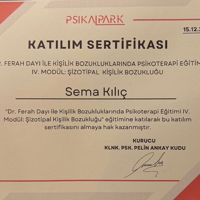 Resmi büyüt: certificate 11