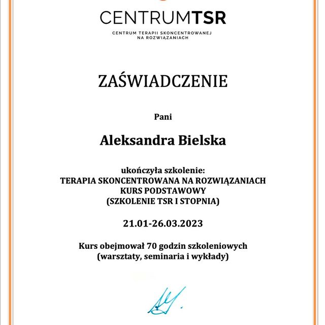 Powiększ obraz: certificate 1