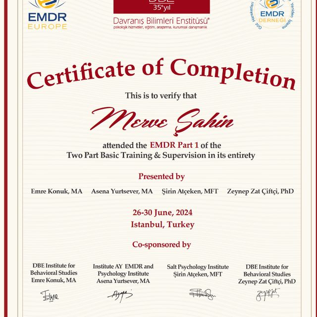 Resmi büyüt: certificate 1