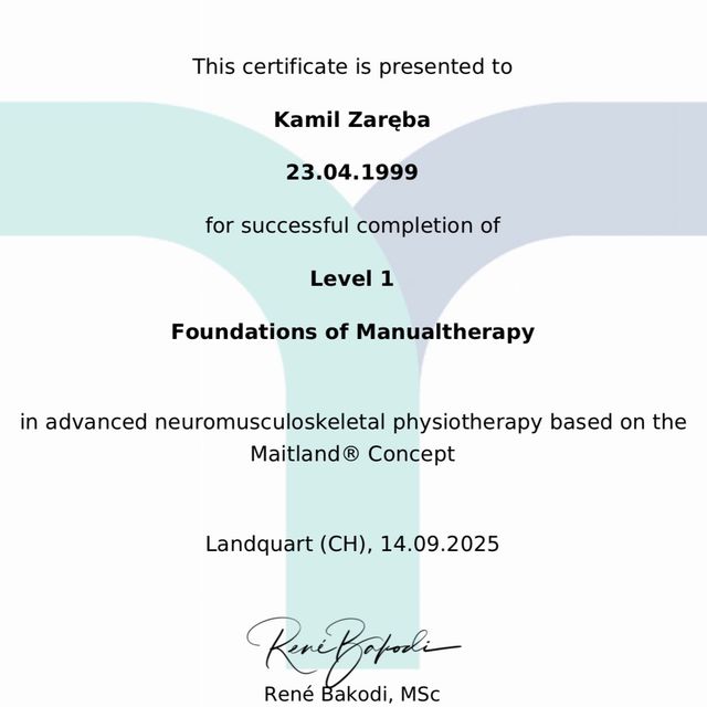 Powiększ obraz: certificate 2