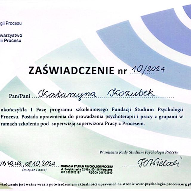 Powiększ obraz: certificate 2