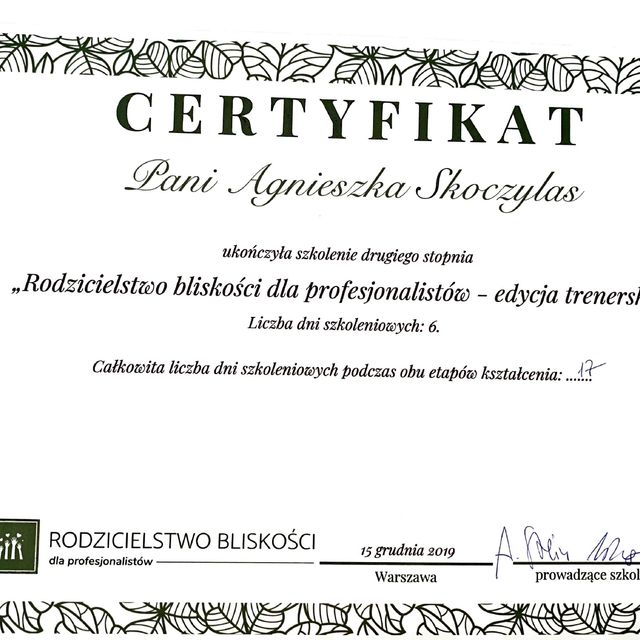 Powiększ obraz: certificate 10