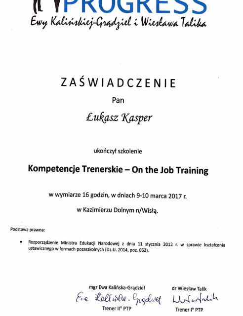 Powiększ obraz: certificate 11