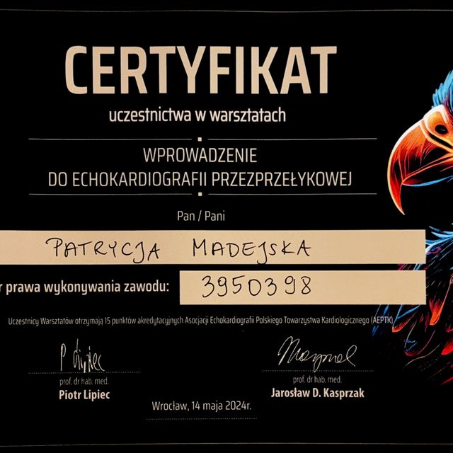 Powiększ obraz: certificate 1