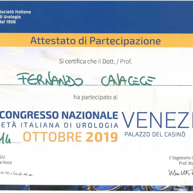 Ingrandire l'immagine: certificate 47