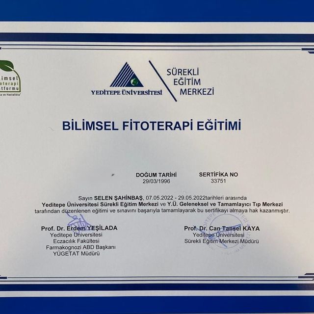 Resmi büyüt: certificate 1
