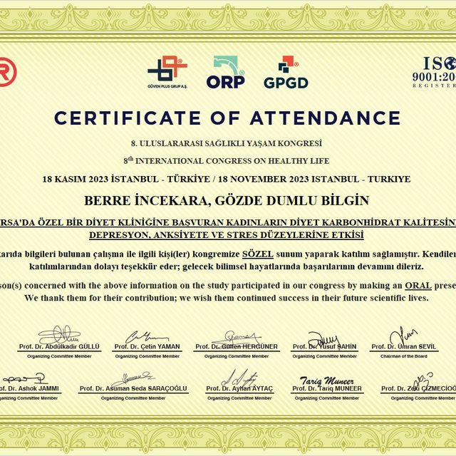 Resmi büyüt: certificate 1