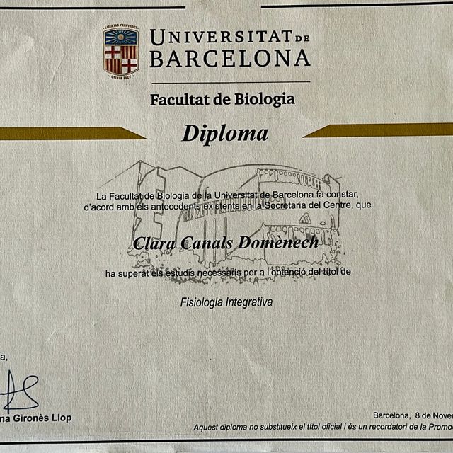 Acercar imagen: certificate 1