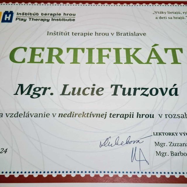 Zvětšit obrázek: certificate 8