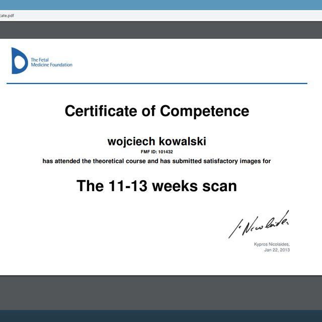 Powiększ obraz: certificate 1