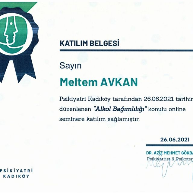 Resmi büyüt: certificate 7