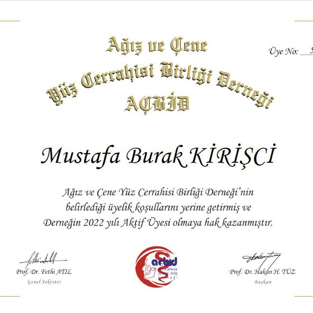 Resmi büyüt: certificate 1