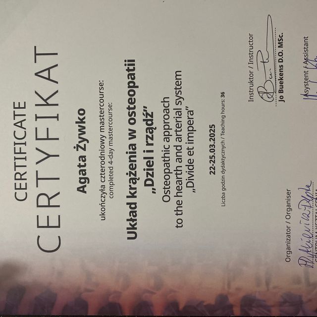 Powiększ obraz: certificate 30