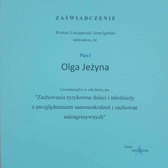 Powiększ obraz: certificate 9