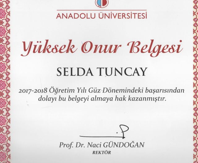 Resmi büyüt: certificate 15