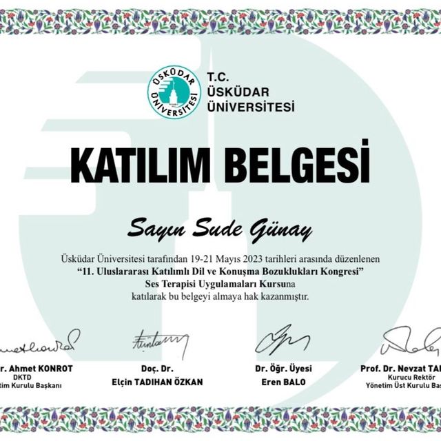 Resmi büyüt: certificate 4