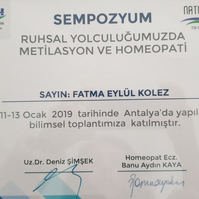 Resmi büyüt: certificate 7
