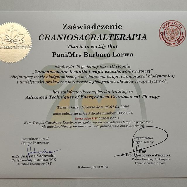 Powiększ obraz: certificate 19