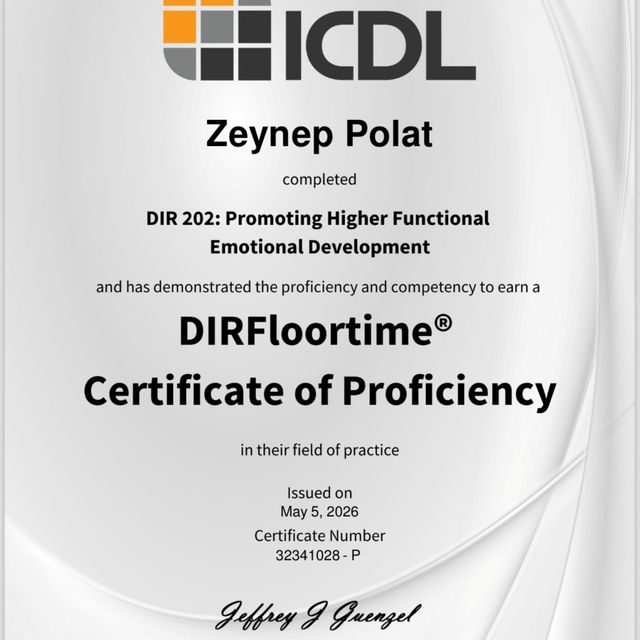 Resmi büyüt: certificate 4