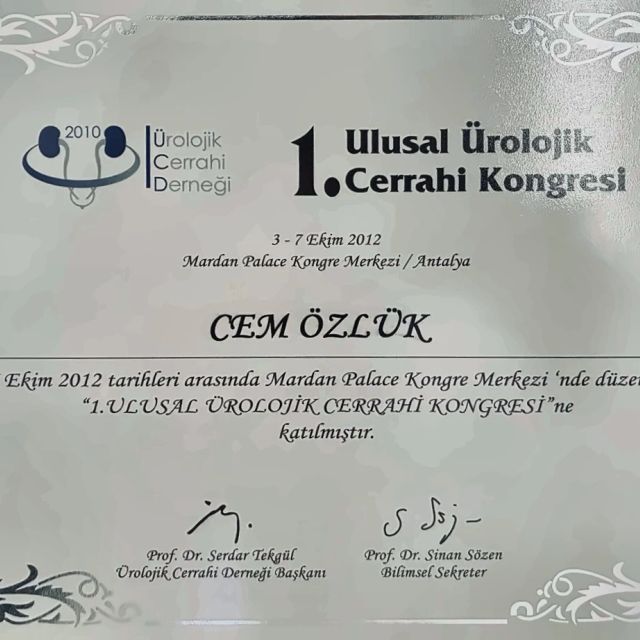 Resmi büyüt: certificate 11