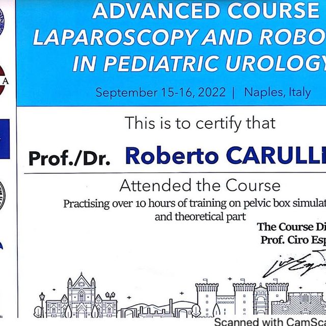 Ingrandire l'immagine: certificate 6