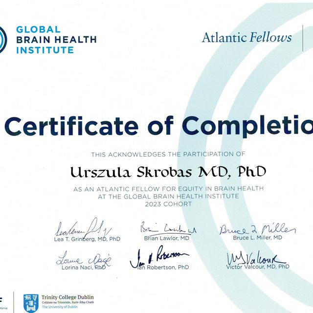 Powiększ obraz: certificate 2