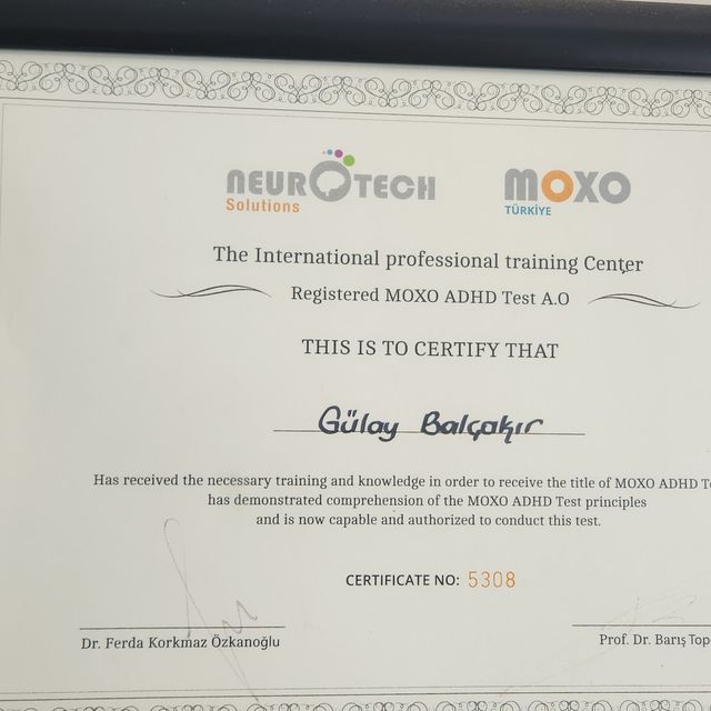Resmi büyüt: certificate 1