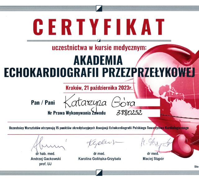 Powiększ obraz: certificate 5