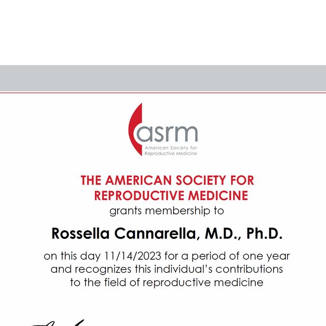 Ingrandire l'immagine: certificate 3