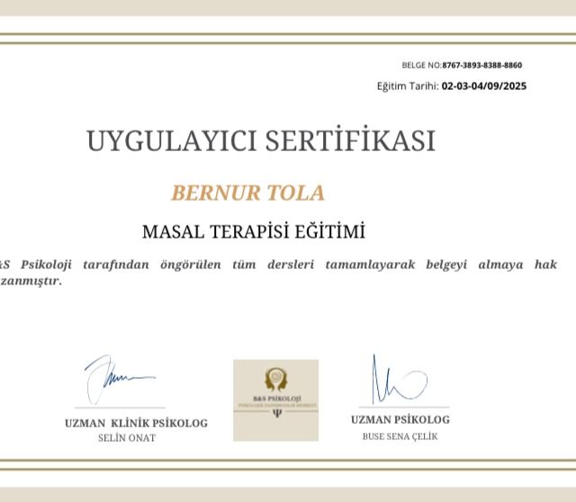 Resmi büyüt: certificate 10