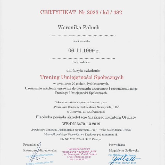 Powiększ obraz: certificate 1