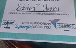 Powiększ obraz: certificate 2