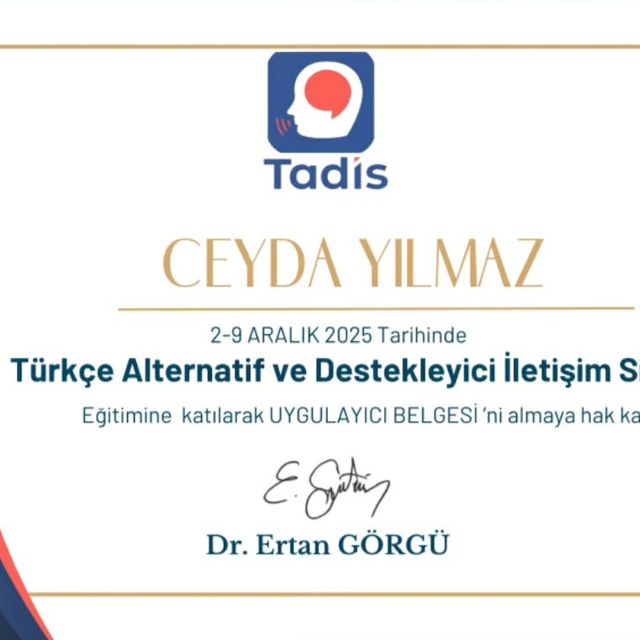 Resmi büyüt: certificate 4