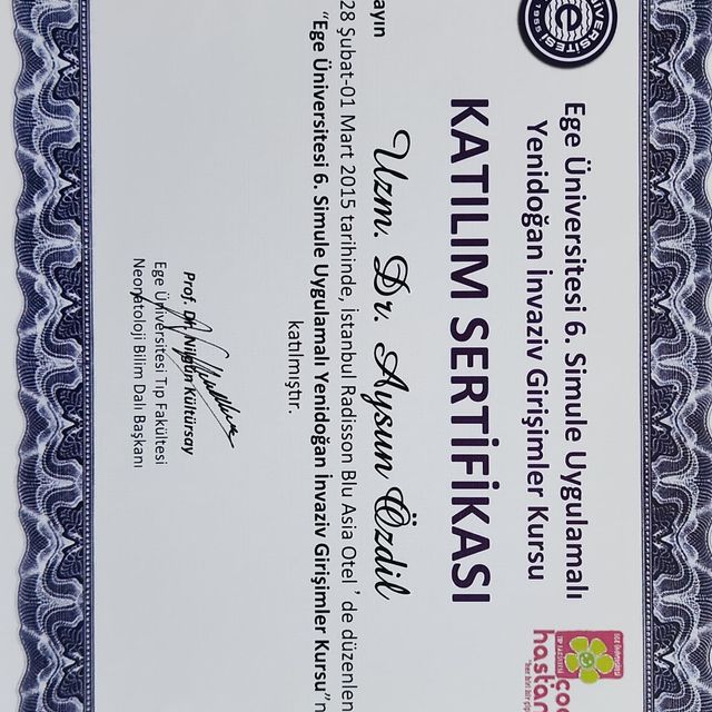 Resmi büyüt: certificate 6