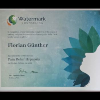 Bild vergrößern: certificate 3