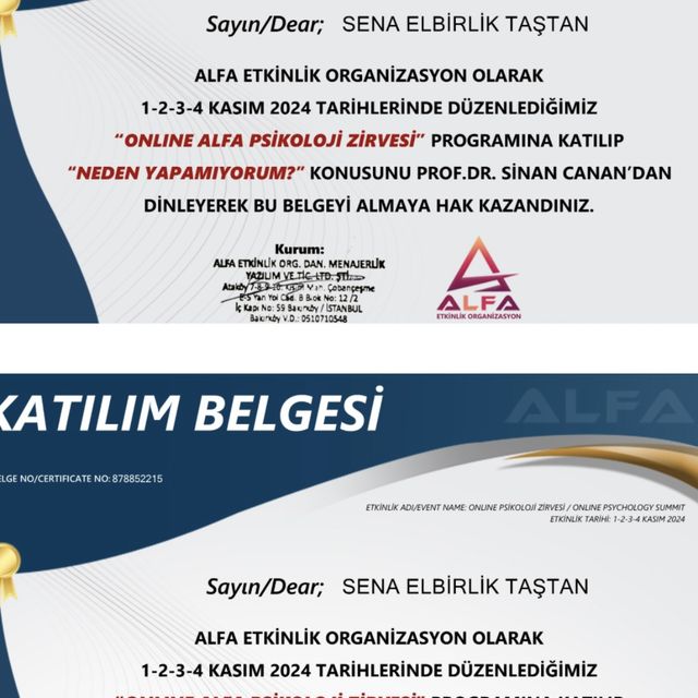 Resmi büyüt: certificate 13