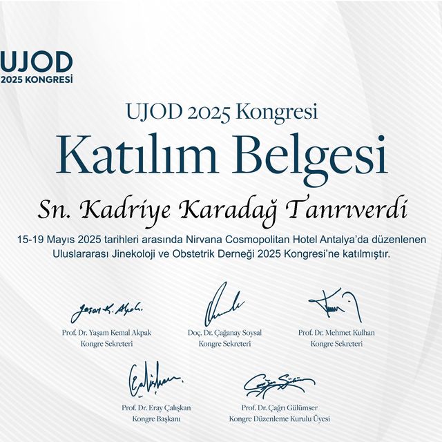 Resmi büyüt: certificate 23